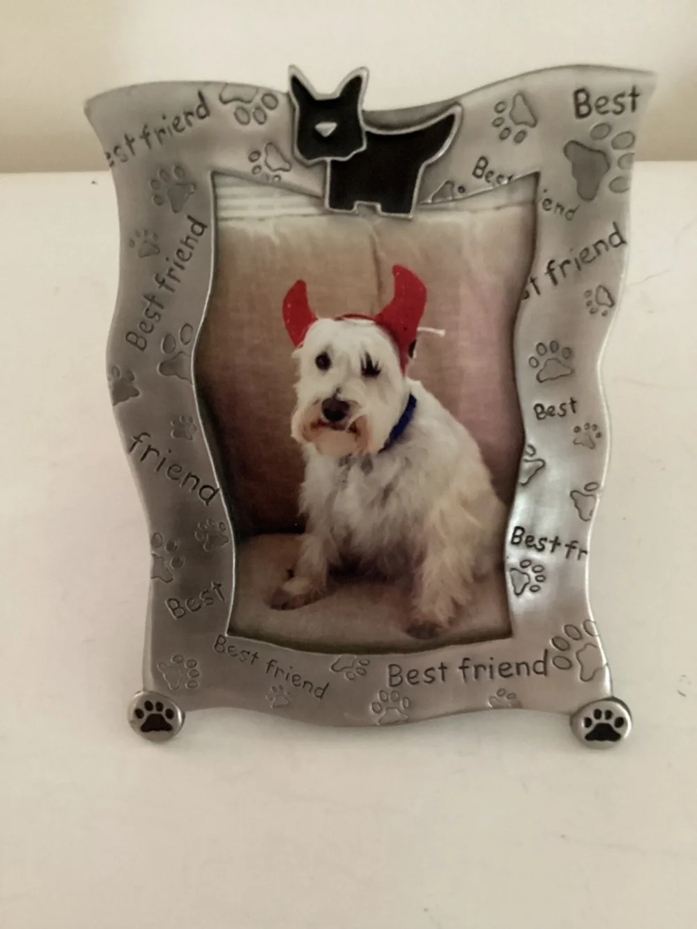 Pewter look Metal “Best Friend” Pet Photo Frame w/ terrier trim and 3Dpaw prints